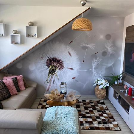 Deluxe Apartman Lisci Kopec Vrchlabí المظهر الخارجي الصورة