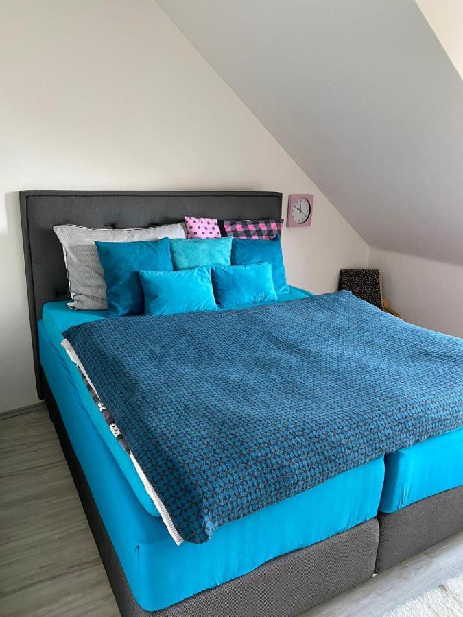 Deluxe Apartman Lisci Kopec Vrchlabí المظهر الخارجي الصورة